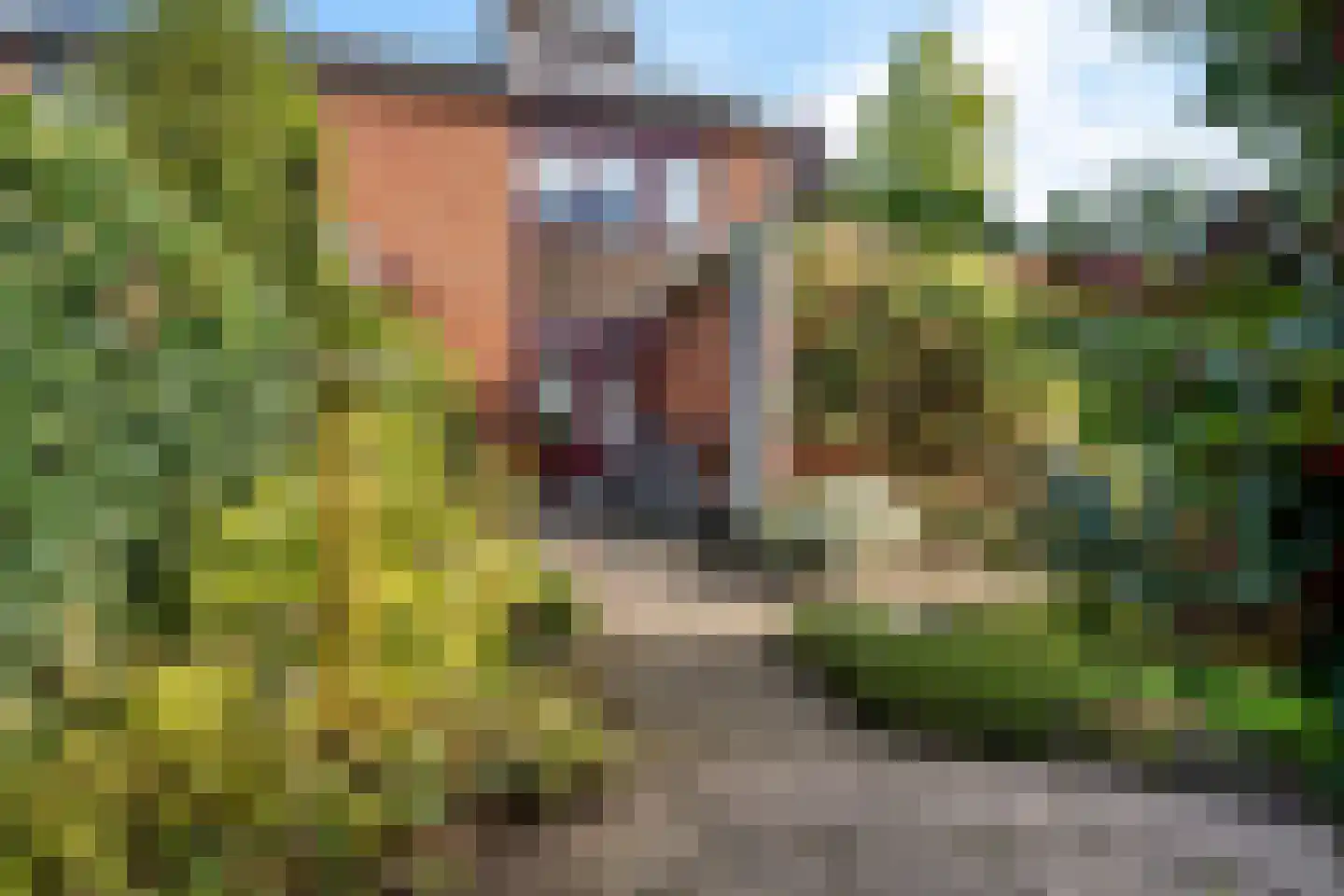 Merelweg 3 Hengelo thumbnail 34