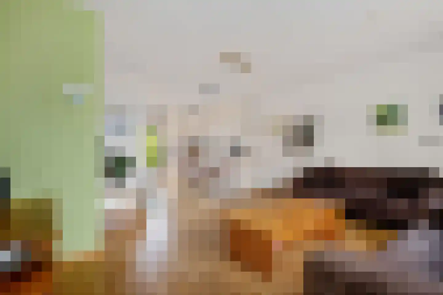 Merelweg 3 Hengelo thumbnail 4