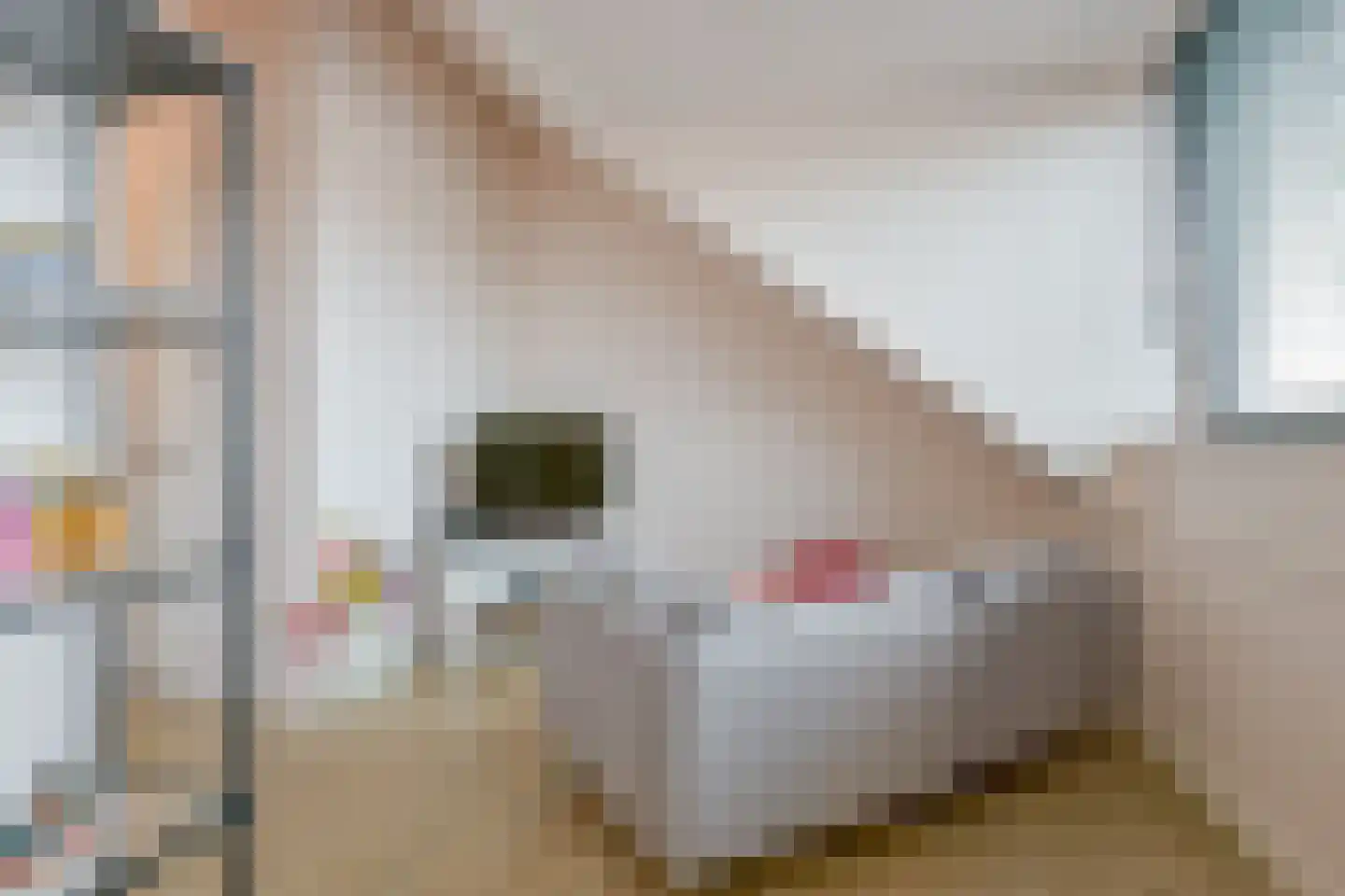 Merelweg 35 Heerhugowaard thumbnail 37