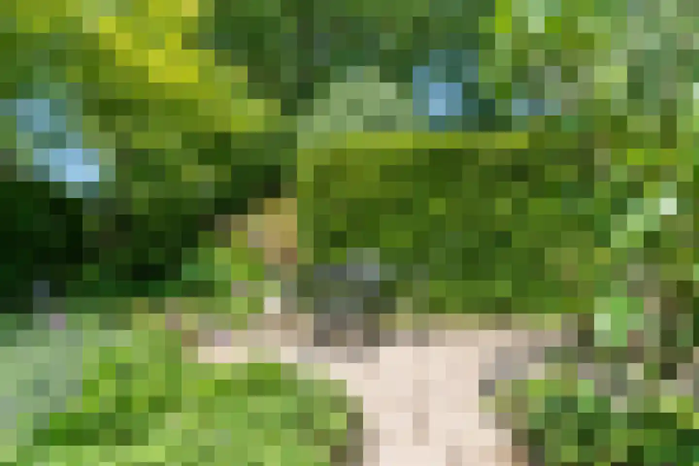 Merelweg 38 Culemborg thumbnail 34