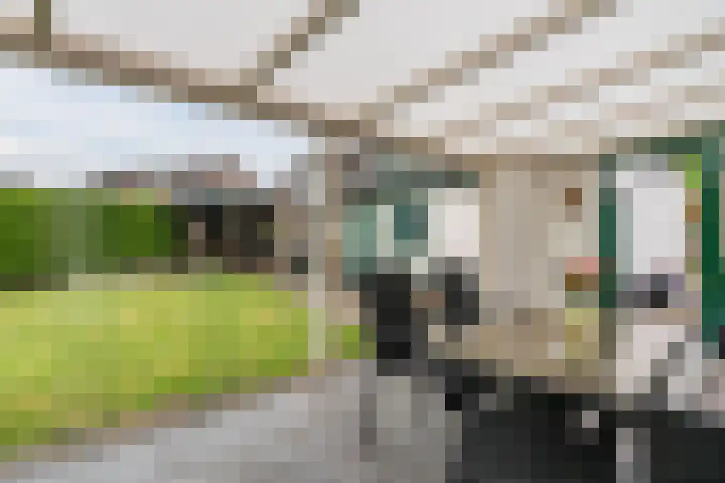 Merelweg 42 Wapenveld thumbnail 30