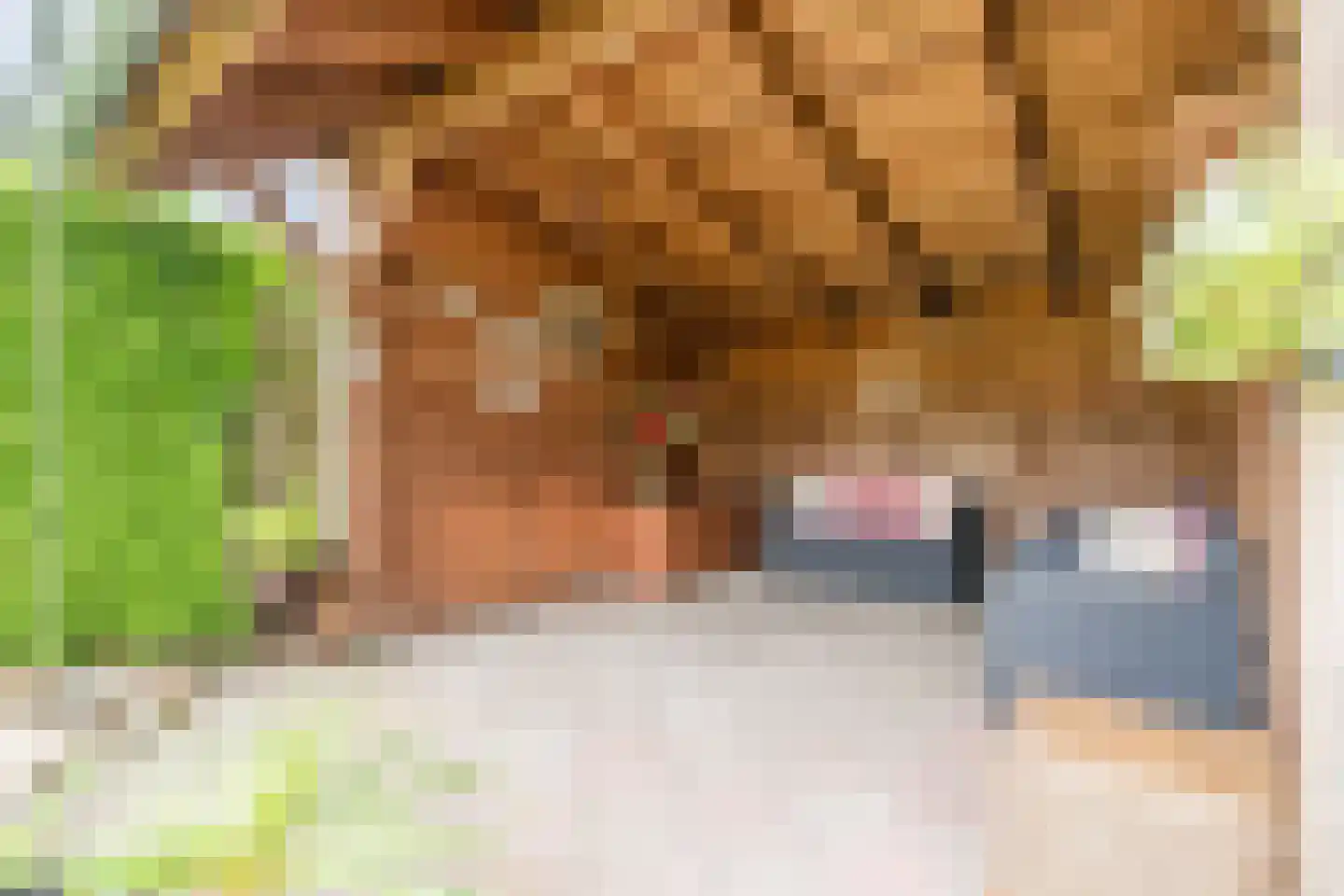 Merelweg 42 Wapenveld thumbnail 34