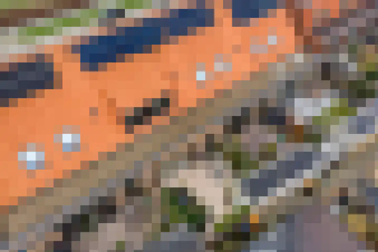 Merelweg 50 Heerhugowaard thumbnail 34