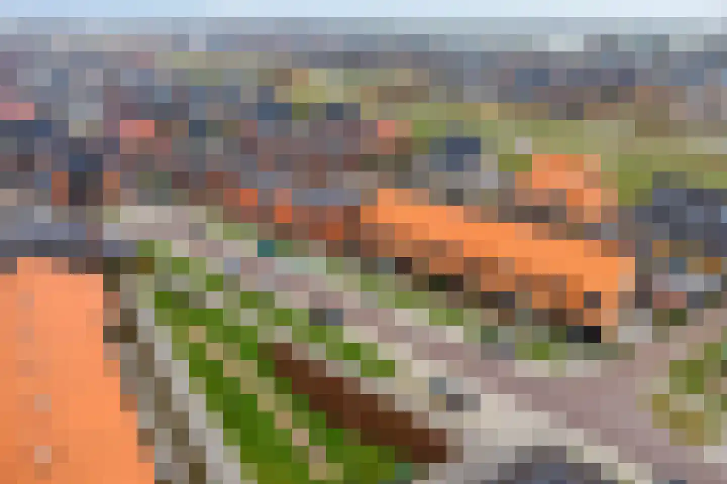 Merelweg 50 Heerhugowaard thumbnail 39