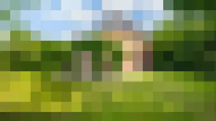 Merelweg 51 Nijverdal thumbnail 32