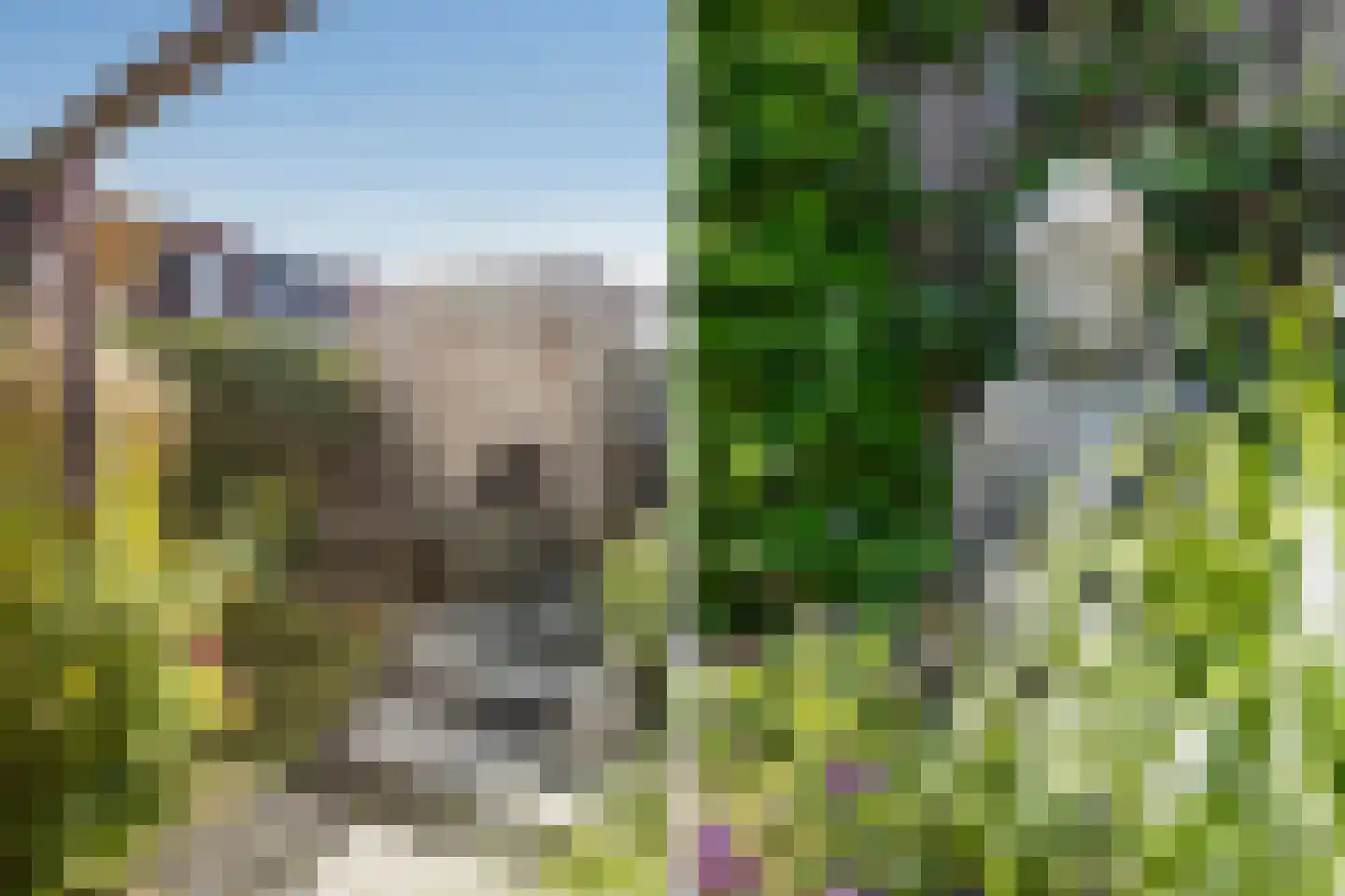 Merelweg 64 Heerhugowaard thumbnail 42