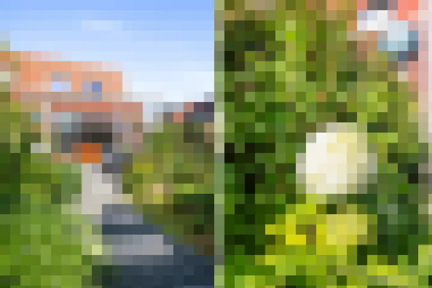 Merelweg 64 Heerhugowaard thumbnail 6