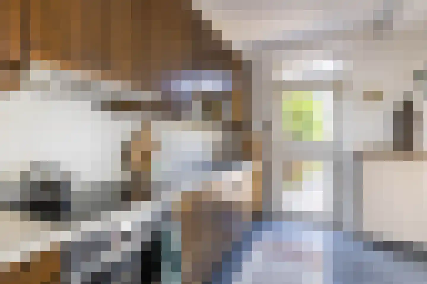 Merelweg 7 Paterswolde thumbnail 17