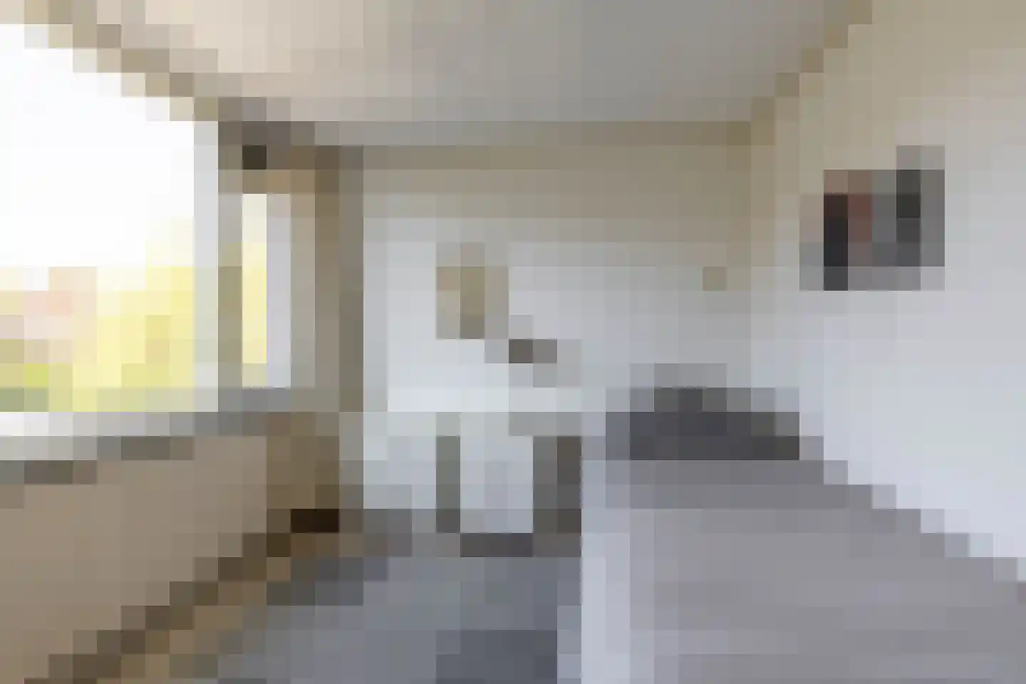 Merelweg 7 Paterswolde thumbnail 26