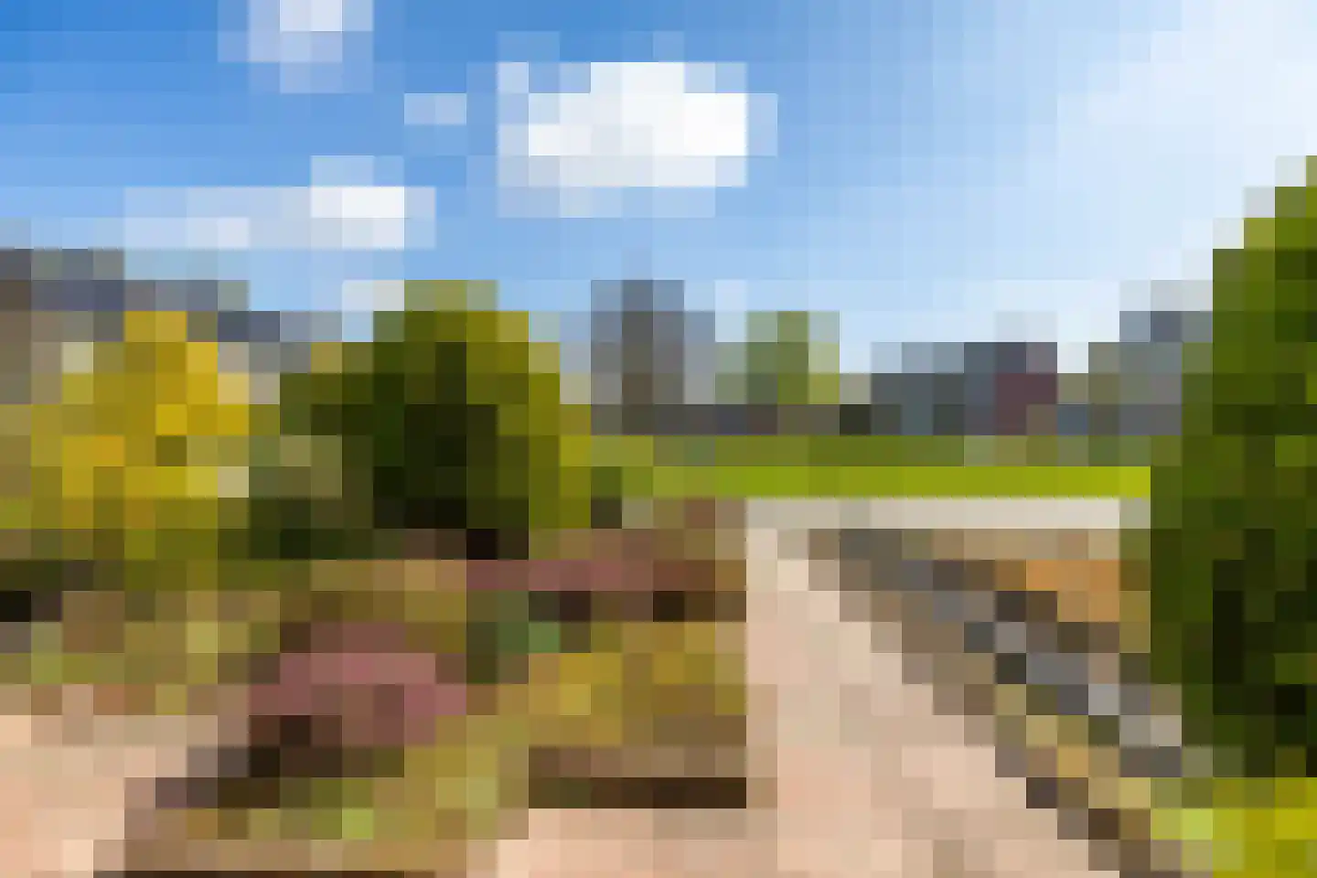 Merelweg 7 Paterswolde thumbnail 40