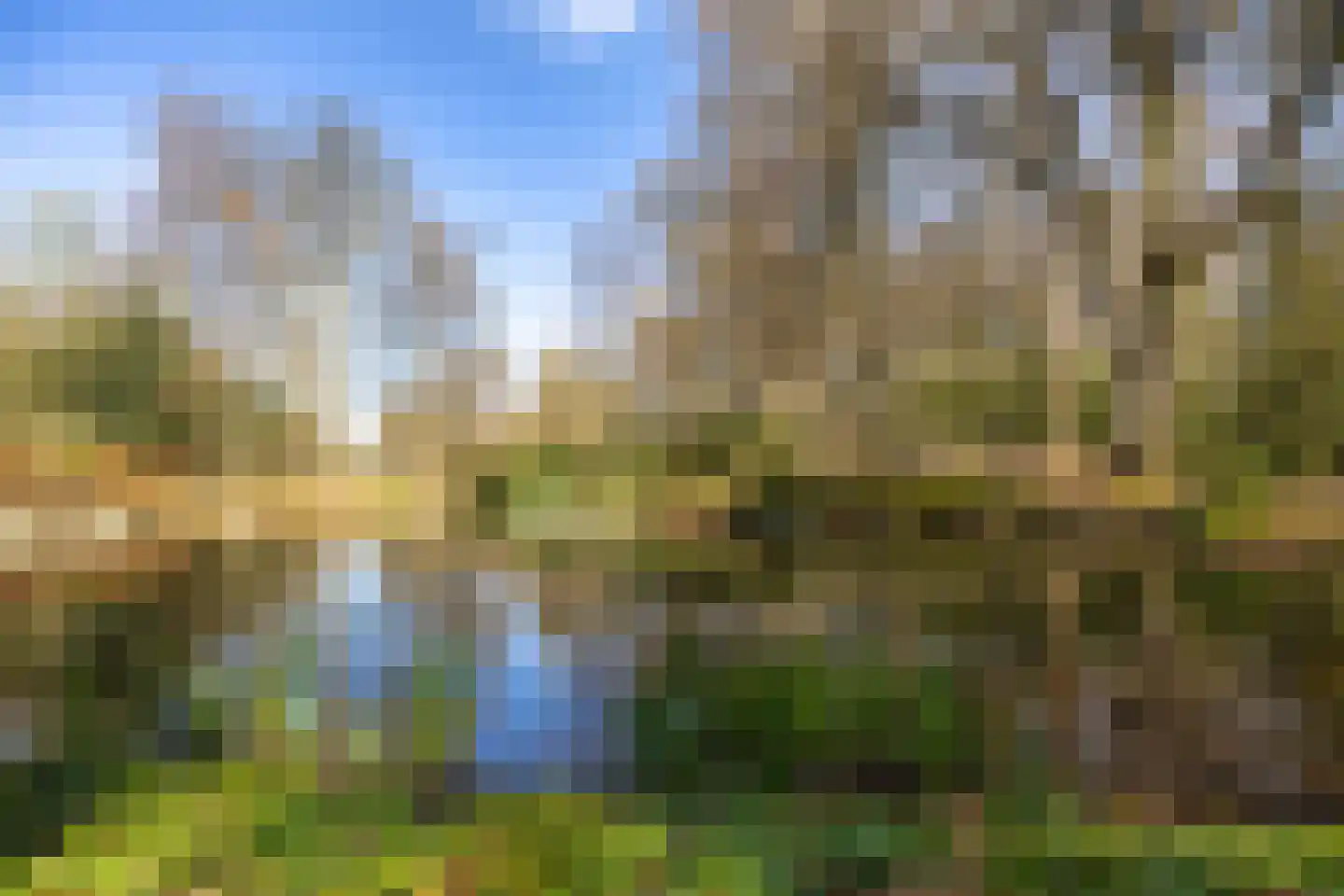 Merelweg 7 Paterswolde thumbnail 45