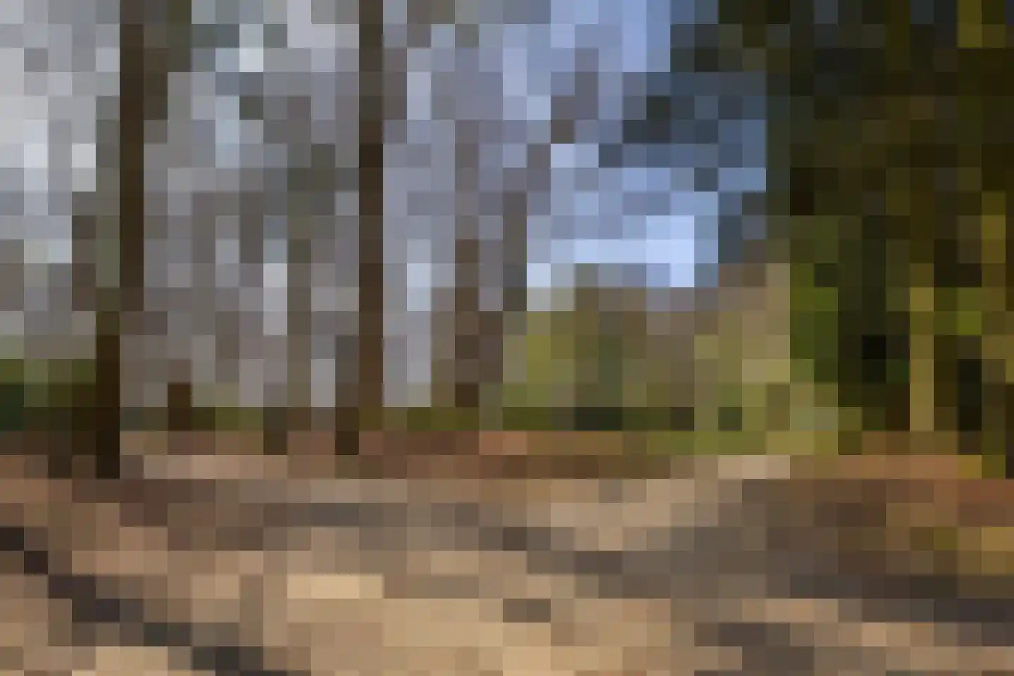 Merelweg 7 Paterswolde thumbnail 46