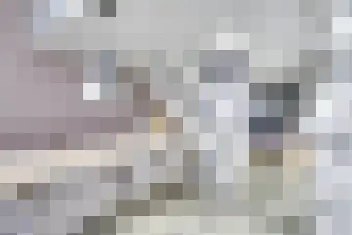 Merenborch 116 Vianen thumbnail 21