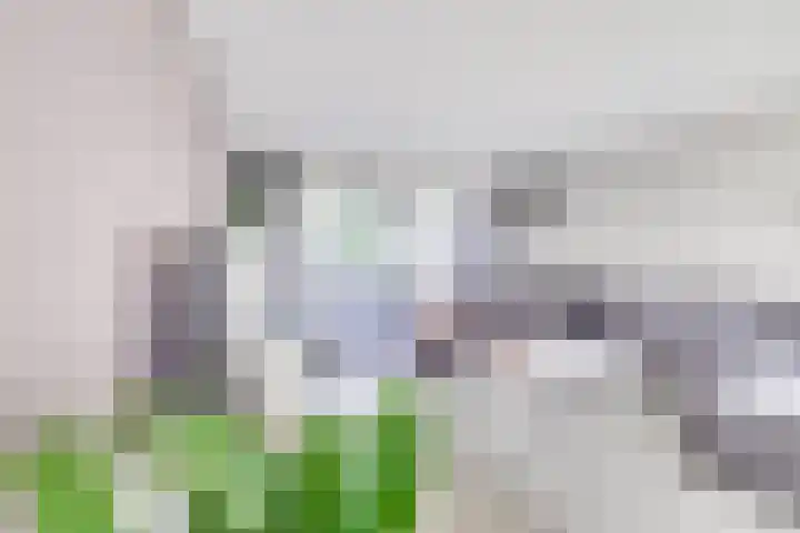 Merenborch 116 Vianen thumbnail 24