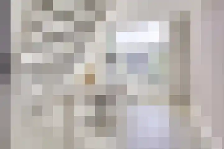 Merenborch 116 Vianen thumbnail 29
