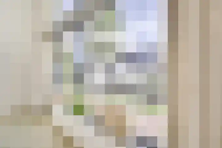 Merenborch 116 Vianen thumbnail 31