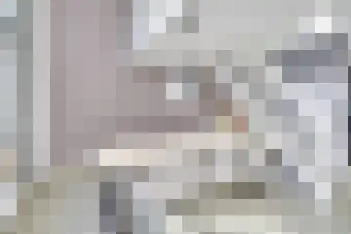Merenborch 116 Vianen thumbnail 32