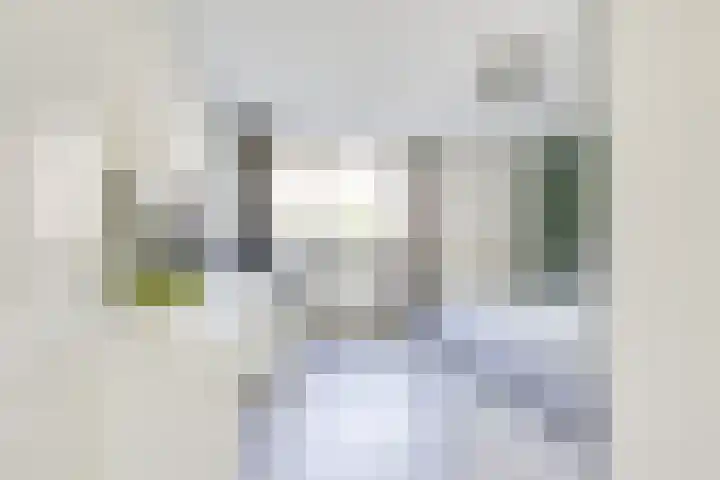 Merenborch 116 Vianen thumbnail 47