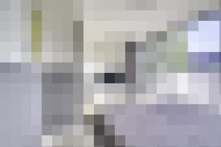 Merenborch 116 Vianen thumbnail 66