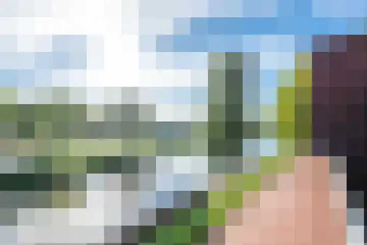 Merenborch 116 Vianen thumbnail 69