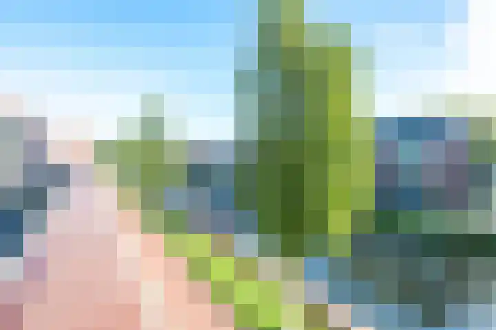 Merenborch 116 Vianen thumbnail 70