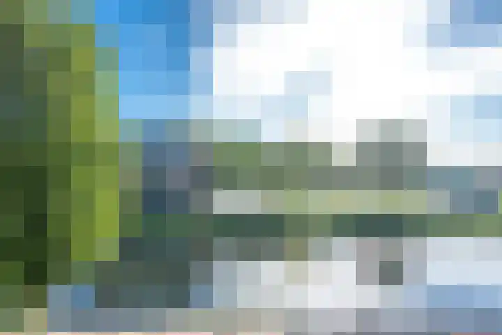 Merenborch 116 Vianen thumbnail 71