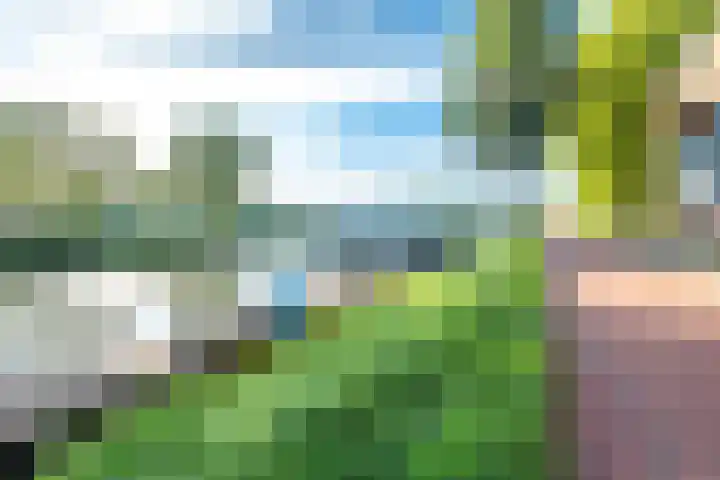 Merenborch 116 Vianen thumbnail 72