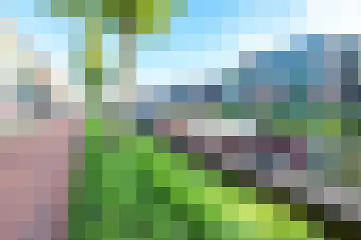 Merenborch 116 Vianen thumbnail 73
