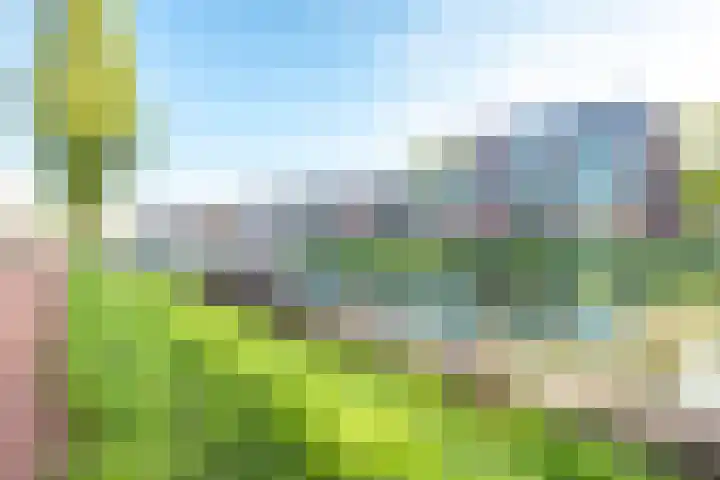 Merenborch 116 Vianen thumbnail 75
