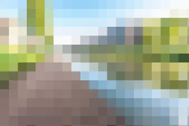 Merenborch 116 Vianen thumbnail 79