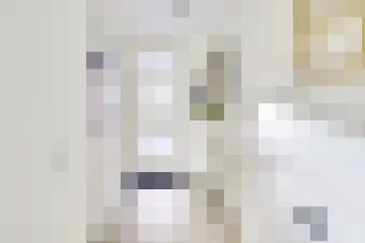 Merenborch 116 Vianen thumbnail 8