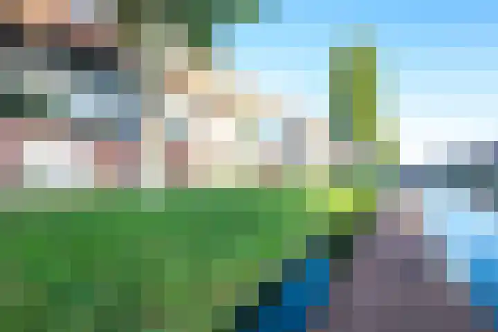Merenborch 116 Vianen thumbnail 80