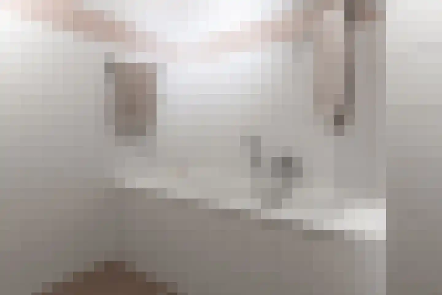 Merenborch 124 Vianen thumbnail 25