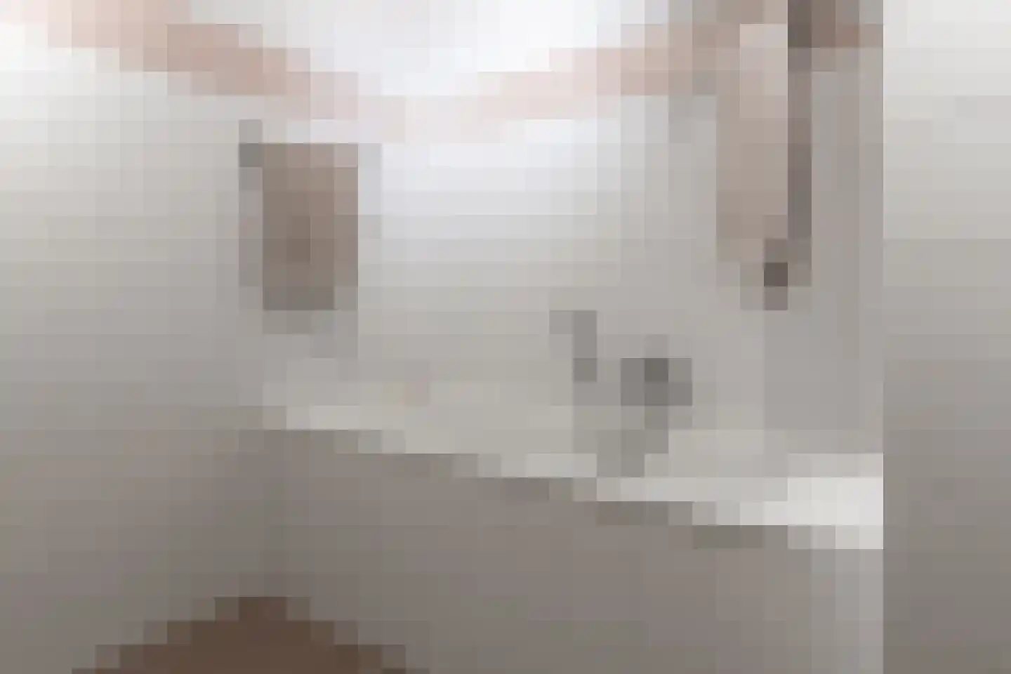 Merenborch 124 Vianen thumbnail 25