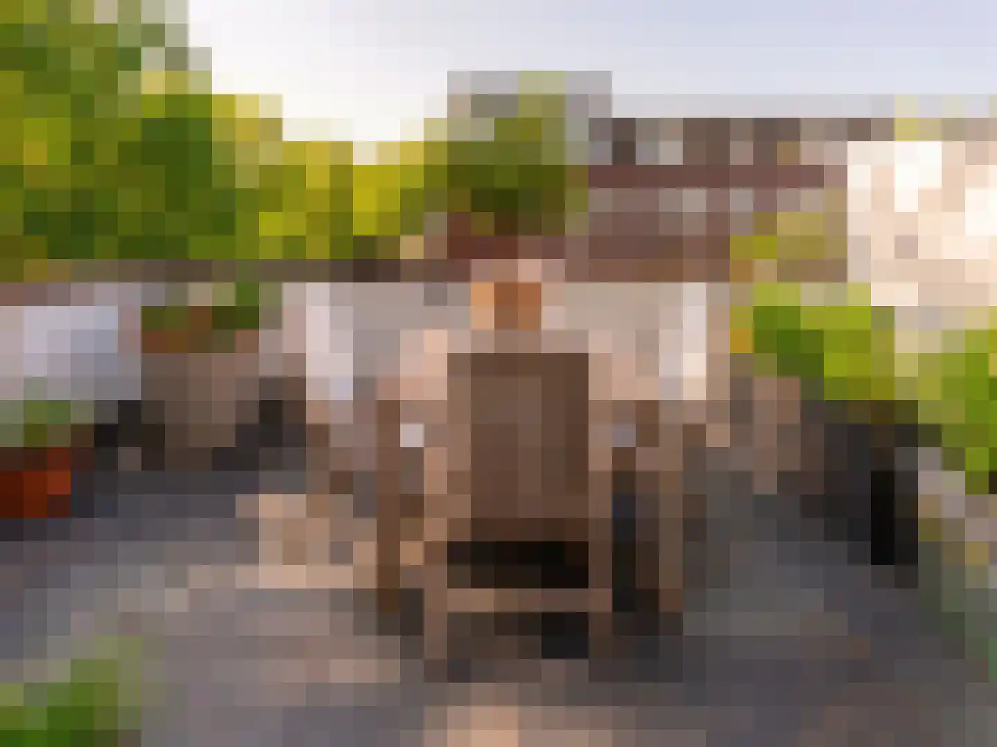 Merenborch 124 Vianen thumbnail 30