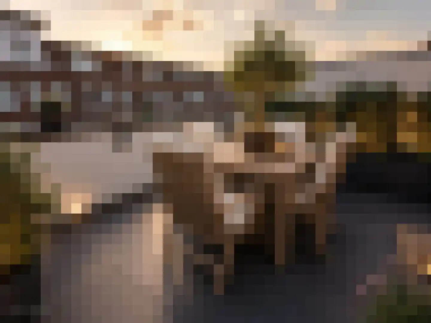 Merenborch 124 Vianen thumbnail 32