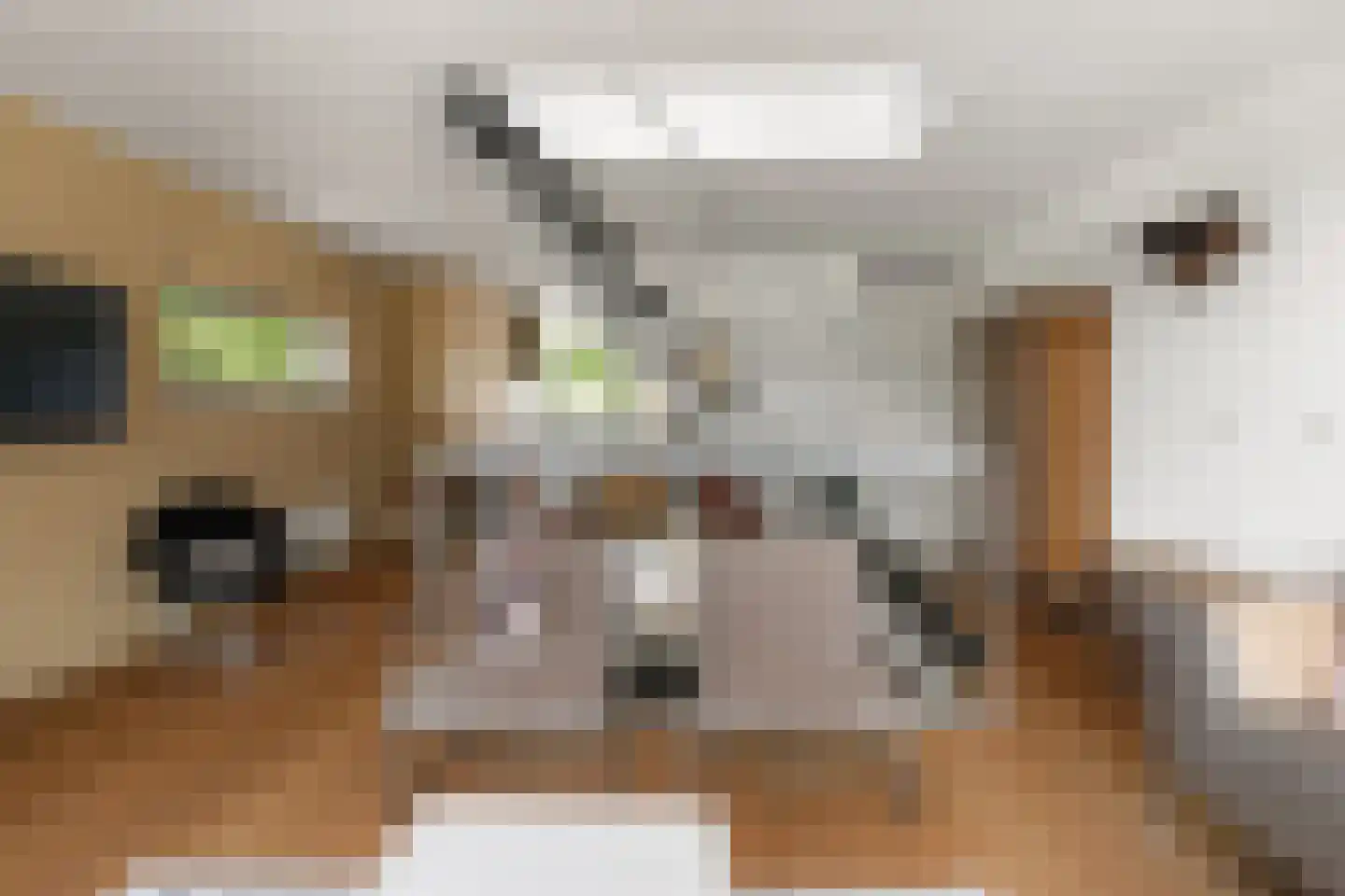 Merenborch 124 Vianen thumbnail 6