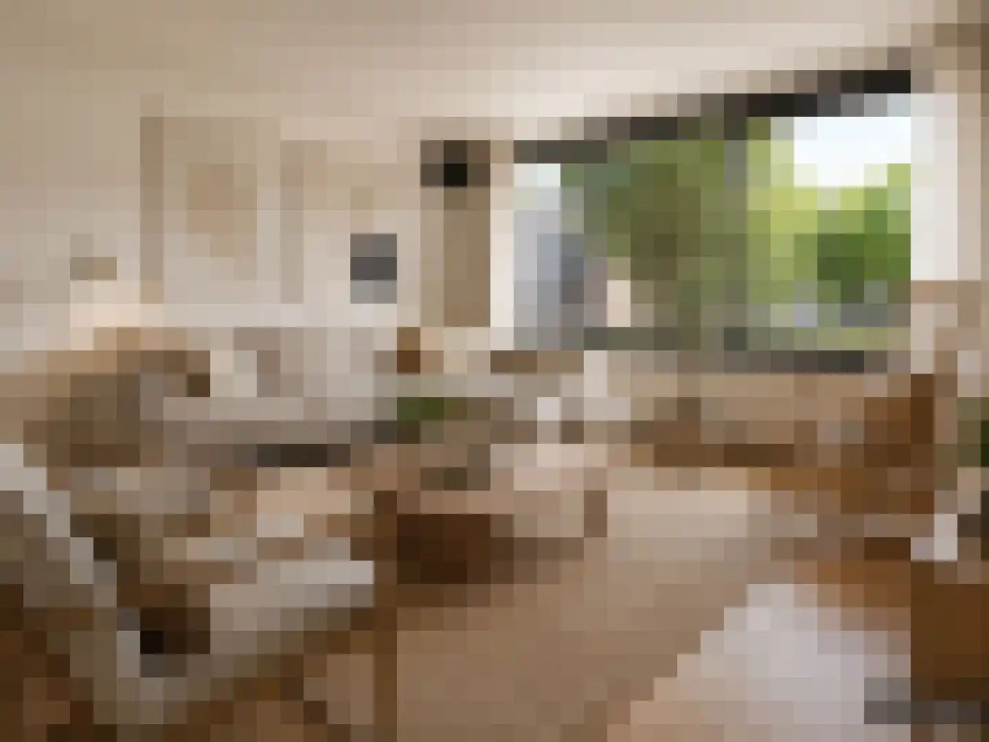 Merenborch 124 Vianen thumbnail 6