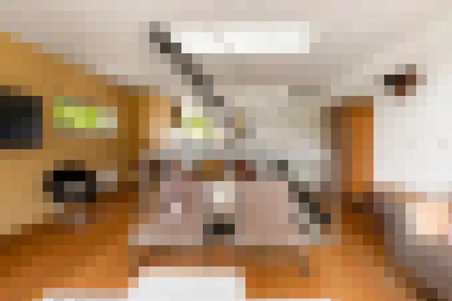 Merenborch 124 Vianen thumbnail 6
