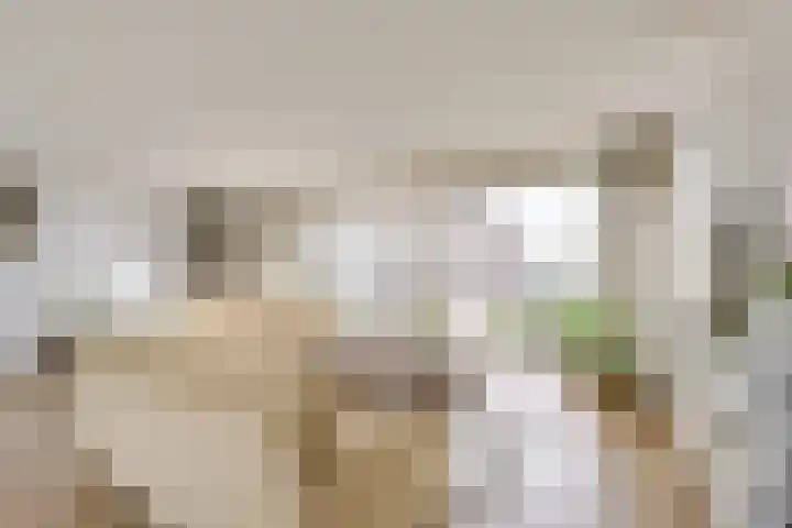 Merenborch 32 Vianen thumbnail 15