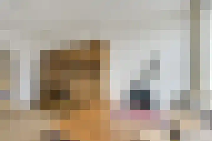 Merenborch 32 Vianen thumbnail 46