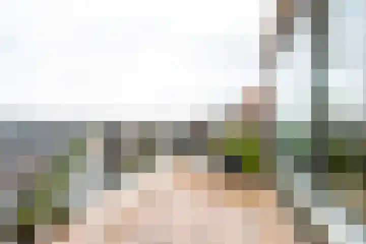 Merenborch 32 Vianen thumbnail 47