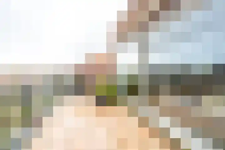 Merenborch 32 Vianen thumbnail 49