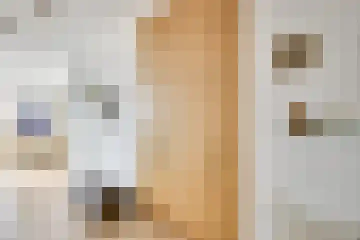 Merenborch 32 Vianen thumbnail 8