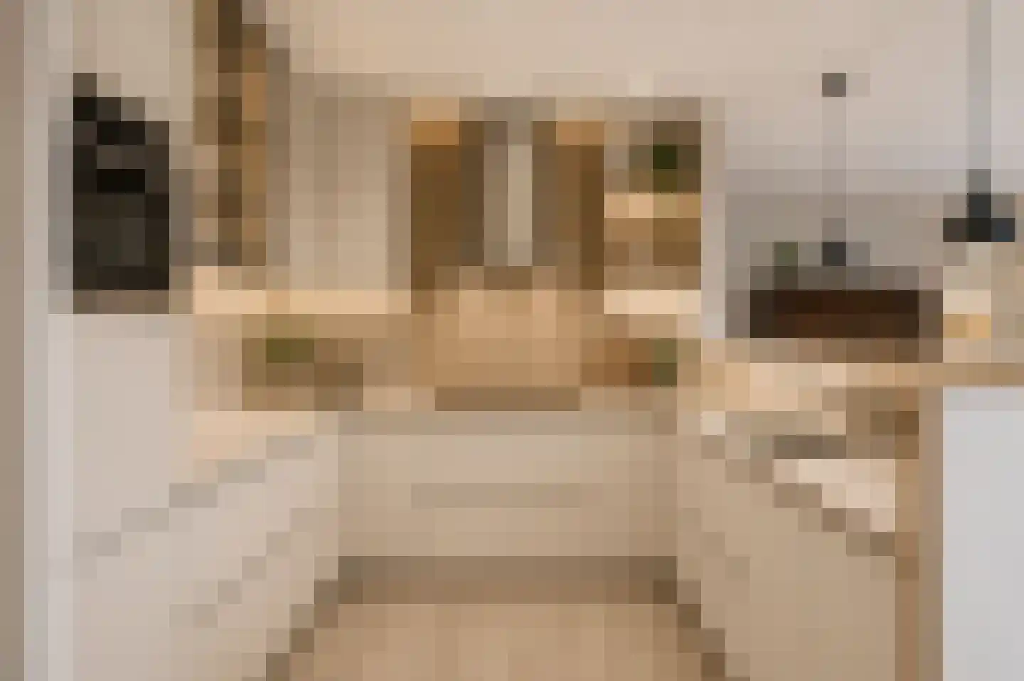 Merenborch 67 Vianen thumbnail 34