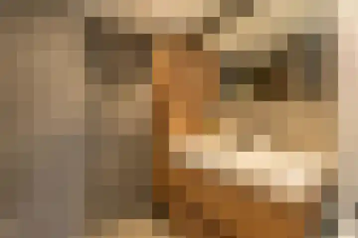 Merendonk 101 Leiden thumbnail 19