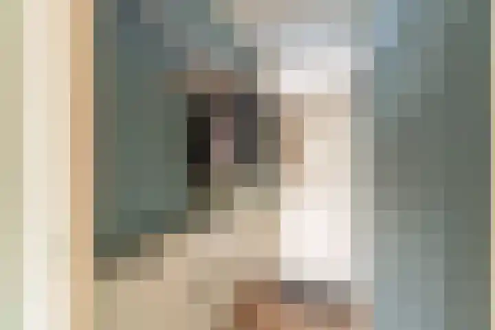 Merendonk 101 Leiden thumbnail 22