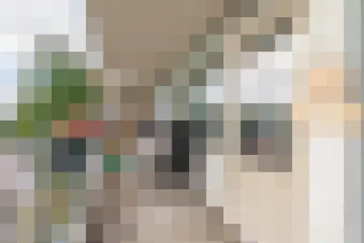 Merendonk 101 Leiden thumbnail 25