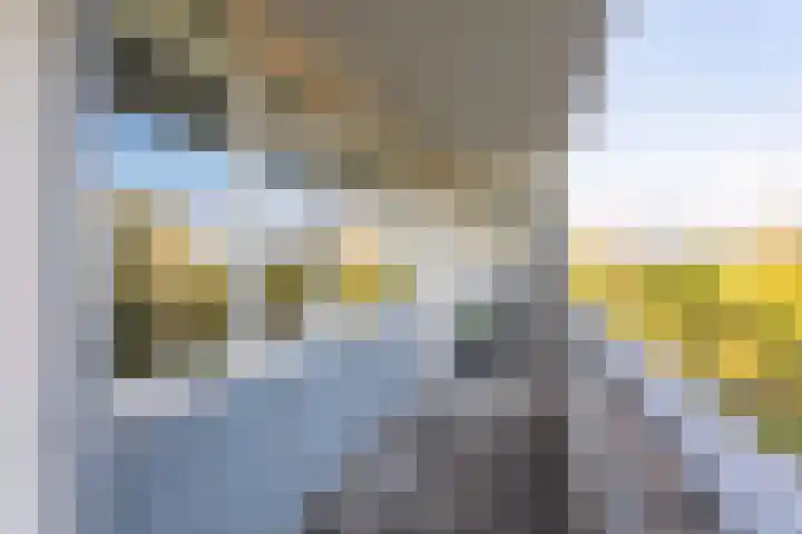 Merendonk 101 Leiden thumbnail 26