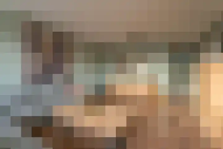 Merendonk 101 Leiden thumbnail 5